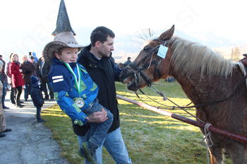 Blagoslov gospodarjem in konjem