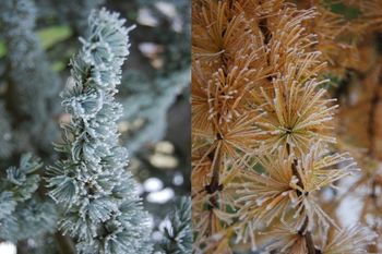 Sejemo dobro voljo skupaj Sejemo dobro voljo skupaj