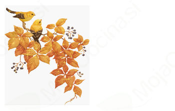 September pri grajski gospodični