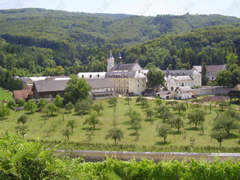 Kartuzija Pleterje je v Levstikovem sadovnjaku boter jablani ontario