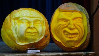 BUČE V NOVIH PODOBAH 