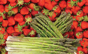 Dan jagod in špargljev