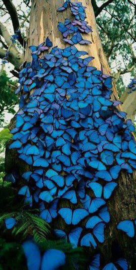 Predstavitev knjige Kako živeti prebujeno življenje: priročnik z navodili