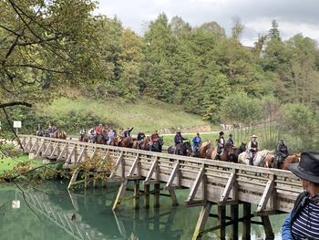 Kostanjeva konjenica 2019