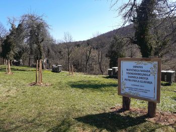 Obnova matičnega nasada visokodebelnega sadnega drevja Petra Pavla Glavarja