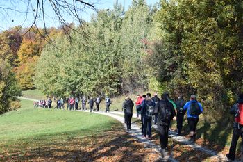 Tradicionalni Kostanjev pohod