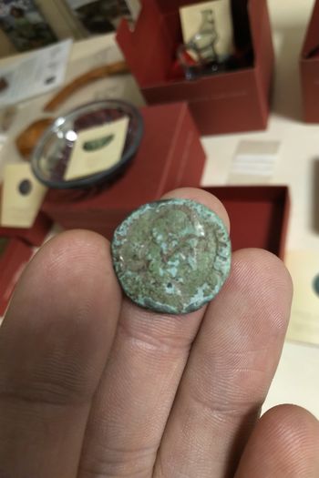 V ISKANJU RIMSKEGA LEVA