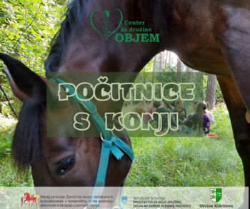 RAZPIS POČITNIŠKIH AKTIVNOSTI S KONJI – Center za družine Objem