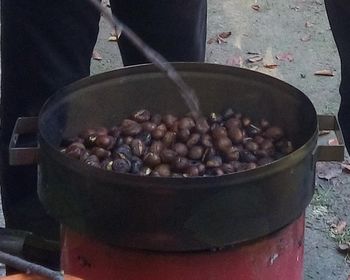 KOSTANJEV PIKNIK DU TREBNJE