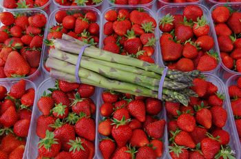 12. DAN JAGOD IN ŠPARGLJEV