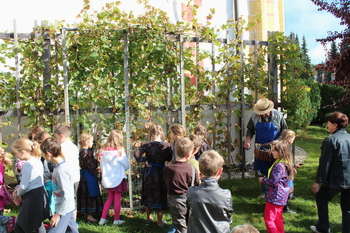 Pridite na trgatev v Novo Cerkev