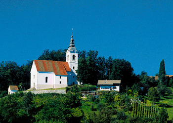 7. koncert Marijinih pesmi v Vojniku