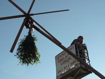 Jesen prihaja v deželo!