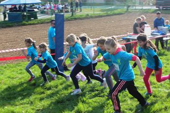 Pridružite se Frankolovskim oviram v parku pri graščini Frankolovo