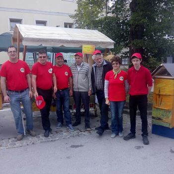 Dan čebele v Novi Cerkvi