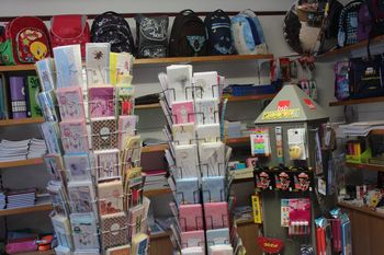 Papirnica AL v Vojniku