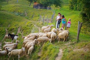 Občina Vojnik uspešna pri prijavi operacije Ureditev mobilne tržnice in vzpostavitev mreže lokalnih ponudnikov LAS