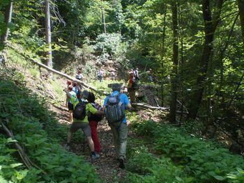 Obvestilo udeležencem torkovih pohodov v Novi Cerkvi