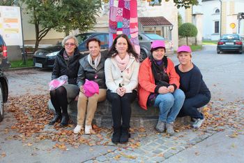 Rožnate pentlje v Novi Cerkvi