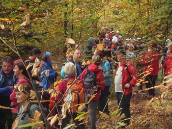 Planinsko društvo Vojnik: utrinki s pohoda in kostanjevega piknika