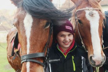 Na štefanovo blagoslov konj v Novi Cerkvi