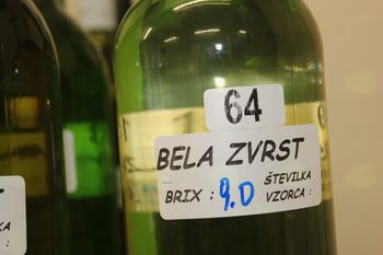 Vinogradniki vabijo v Knjižnico Vojnik