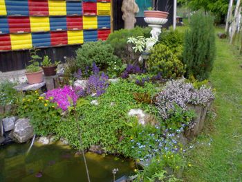 Kaj lahko storimo za ohranitev čebel?