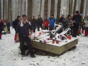 Pestro dogajanje društva