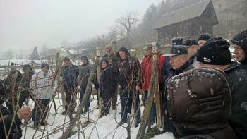 Vojniški vinogradniki se izobražujemo: zimska rez