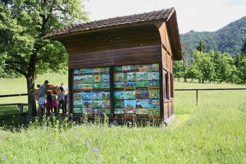 Pridružite se najbolj množični predstavitvi čebelarstva v Sloveniji in Apel za pravilno uporabo FFS