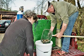 Donatorja poskrbela za nov ribji zarod Donatorja poskrbela za nov ribji zarod