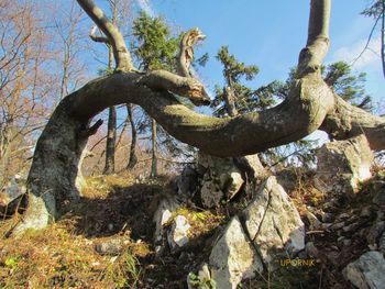 Utrinek s planinskega izleta Utrinek s planinskega izleta