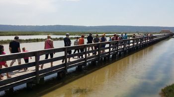 Mladi planinci POŠ Socka in Nova Cerkev pohajali po Kraškem robu