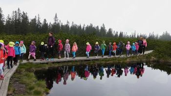 Mavrični planinčki na Lovrenških jezerih                    