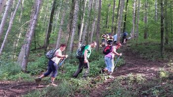 Pohod na Špičasti vrh Pohod na Špičasti vrh