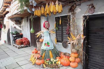 Jesenski utrinki iz Socke