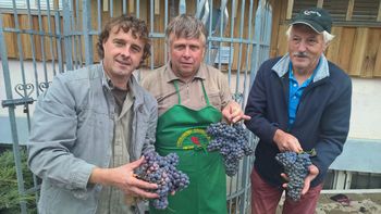 A. M. Slomšek: "Že čriček prepeva, ne more več spat, trgatev veleva, spet pojdemo brat."