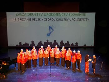 Pevci MeKPZ DU Vojnik uspešno nastopili na F3ŽO v Cankarjevem domu