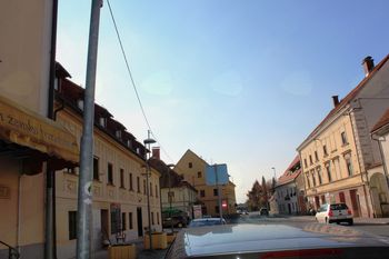 Na Celjski cesti v Vojniku niso samo avtomobili Na Celjski cesti v Vojniku niso samo avtomobili