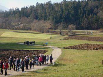 Dejavnosti MDDI Celje