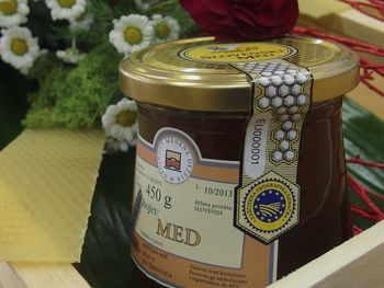 Sporočilo za javnost 