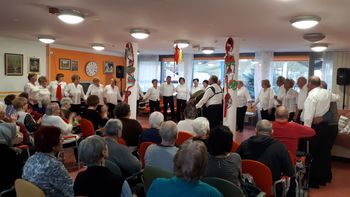 Koncert MePZ DU Vojnik v Špesovem domu