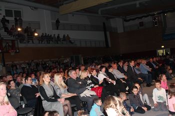 Fotogalerija: Na dobrodelnem koncertu »Vojnik, stopimo skupaj«