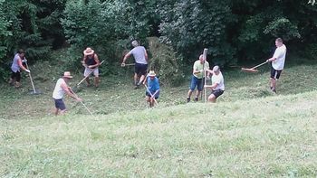 Košnja pri Koči na Tomažu