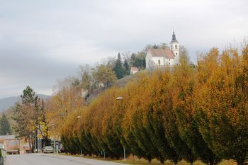 Povabilo na voden ogled po Vojniku