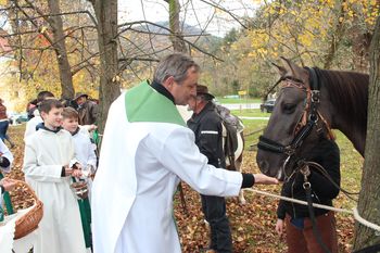 Tradicija blagoslova konj na Frankolovem