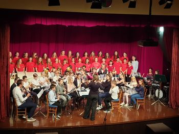 Dislocirani oddelek Glasbene šole Celje v Vojniku