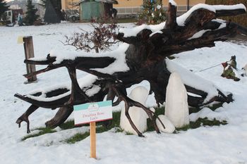 Fotogalerija: Utrinki z Božičnega Vojnika