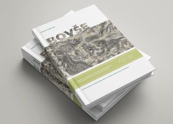 Bovše – zgodovinski pogled 700 let nazaj - do leta 1319 Bovše – zgodovinski pogled 700 let nazaj - do leta 1319