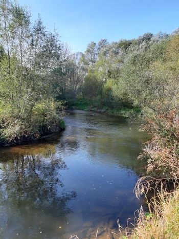 Sekanje obvodne vegetacije je poseg v naravo Sekanje obvodne vegetacije je poseg v naravo